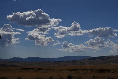 DSC_2312 (Large).JPG